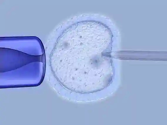 芜湖当多元家庭拥抱新生命：解锁 “彩虹生子” 的温暖密码
