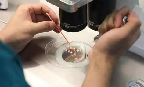 芜湖打破偏见的生命礼赞：同性生子背后的爱与坚守